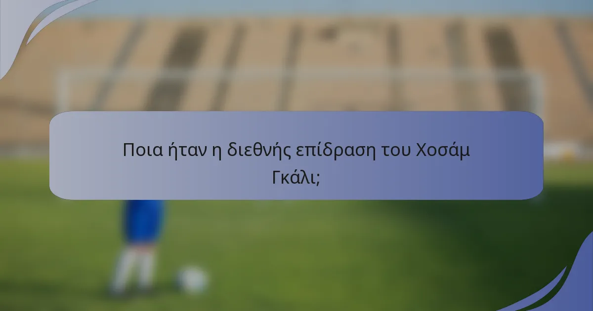 Ποια ήταν η διεθνής επίδραση του Χοσάμ Γκάλι;