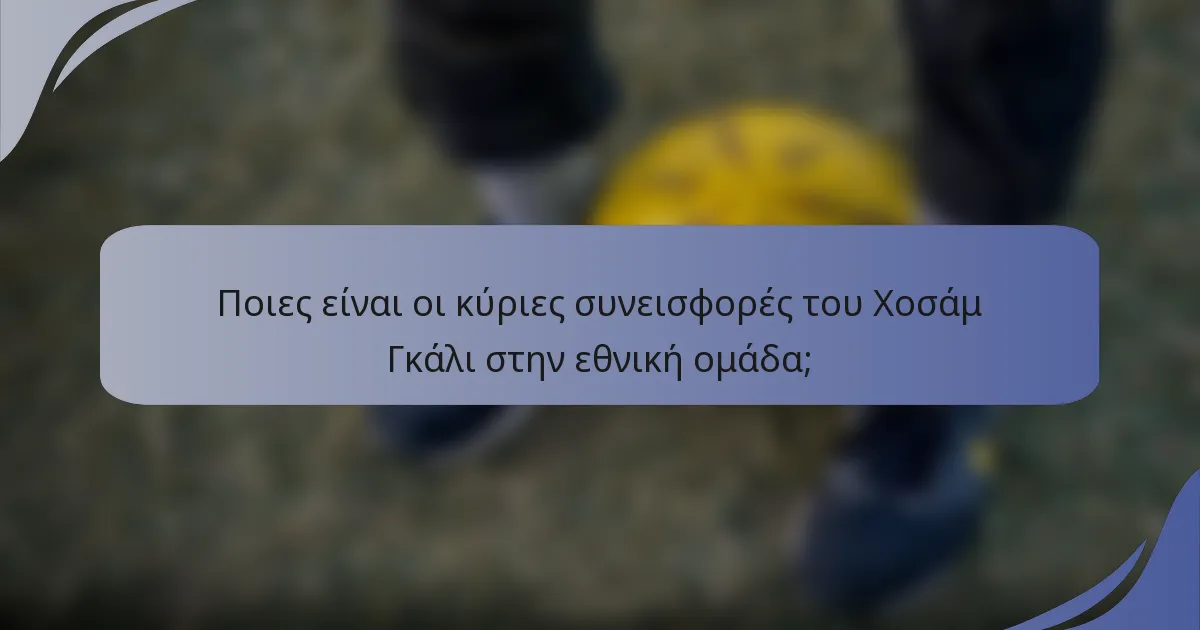 Ποιες είναι οι κύριες συνεισφορές του Χοσάμ Γκάλι στην εθνική ομάδα;
