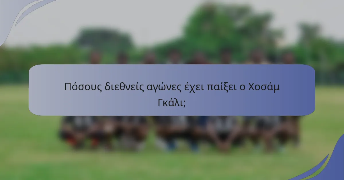 Πόσους διεθνείς αγώνες έχει παίξει ο Χοσάμ Γκάλι;